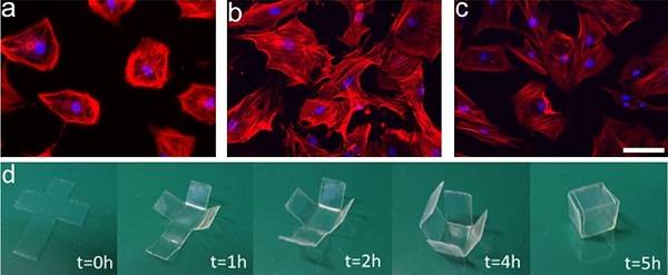 Monils - 默尼離子液體